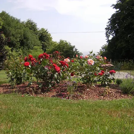 ベッド・アンド・ブレックファスト La Cloue Sainte-Marie-du-Bois
