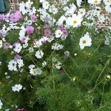 ベッド・アンド・ブレックファスト La Cloue