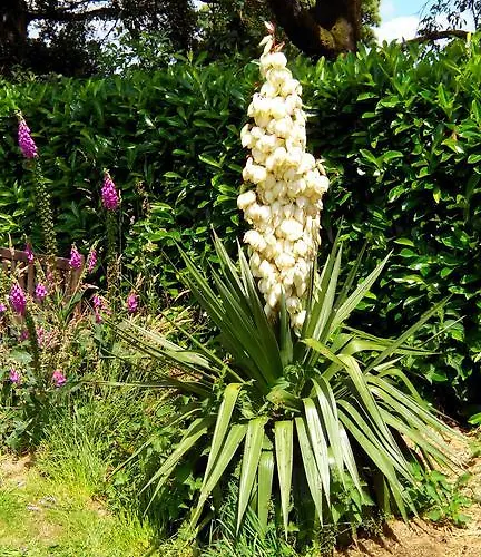 La Cloue Couette-café 3*