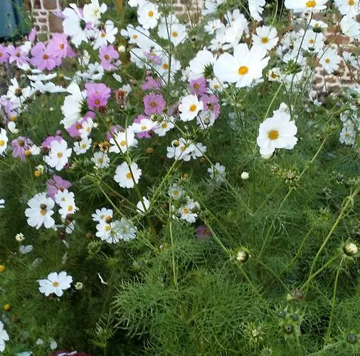 Couette-café La Cloue