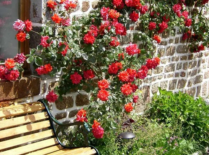 Couette-café La Cloue